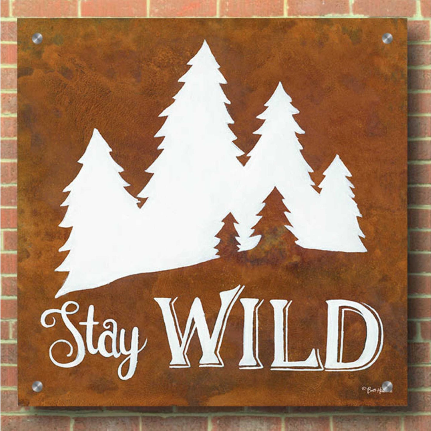 Epic Art 'Stay Wild' by Britt Hallowell, Acrylic Glass Wall Art,36x36