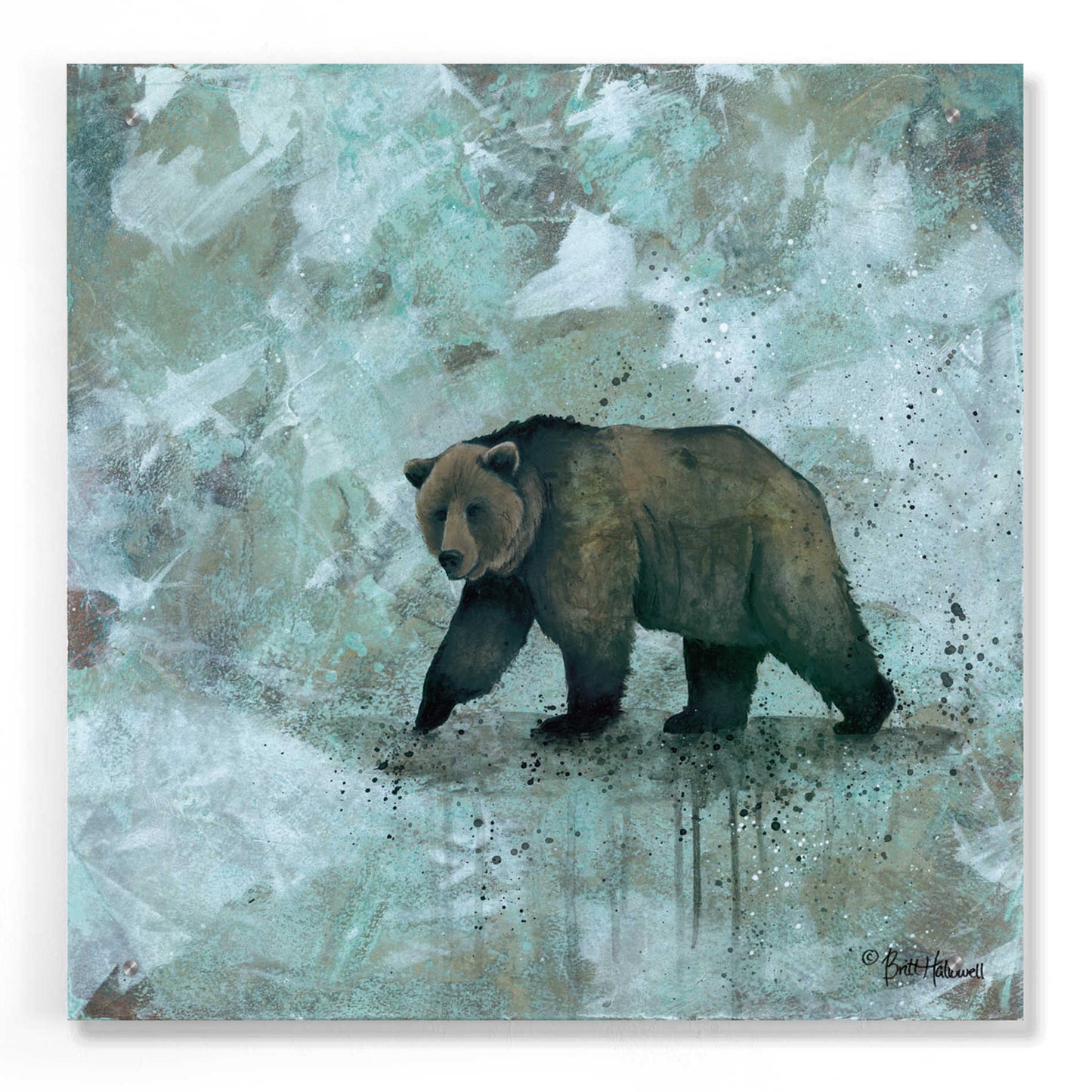 Epic Art 'Simplicity Bear' by Britt Hallowell, Acrylic Glass Wall Art,24x24