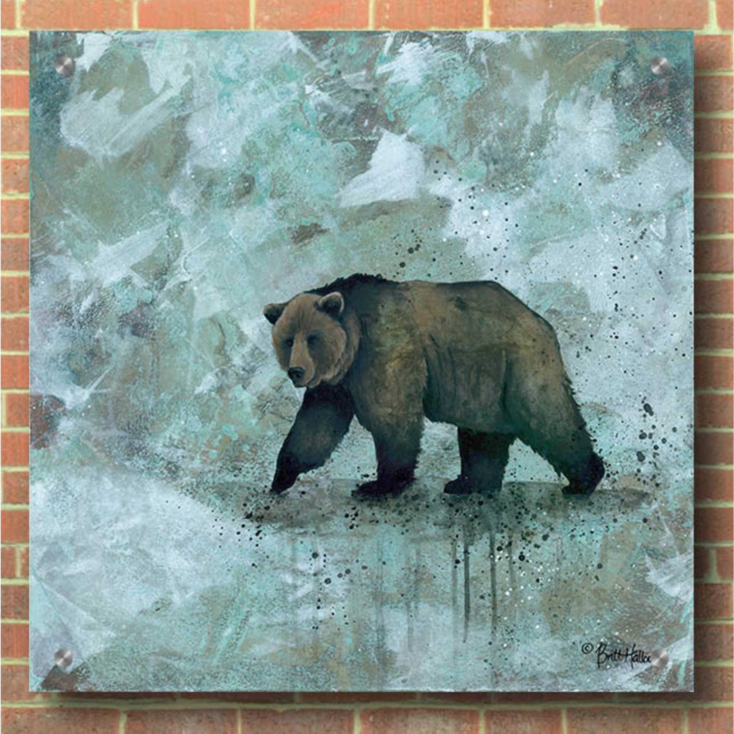 Epic Art 'Simplicity Bear' by Britt Hallowell, Acrylic Glass Wall Art,36x36