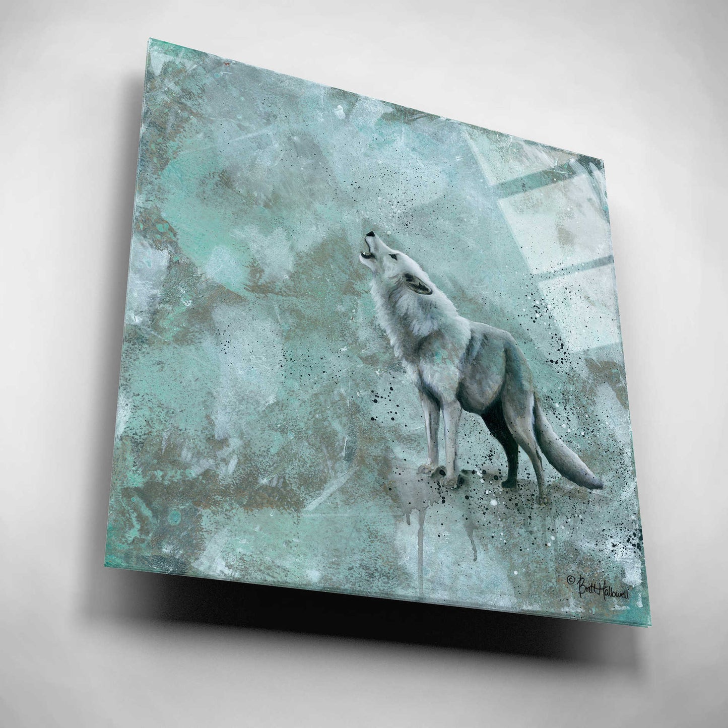 Epic Art 'Simplicity Wolf' by Britt Hallowell, Acrylic Glass Wall Art,12x12