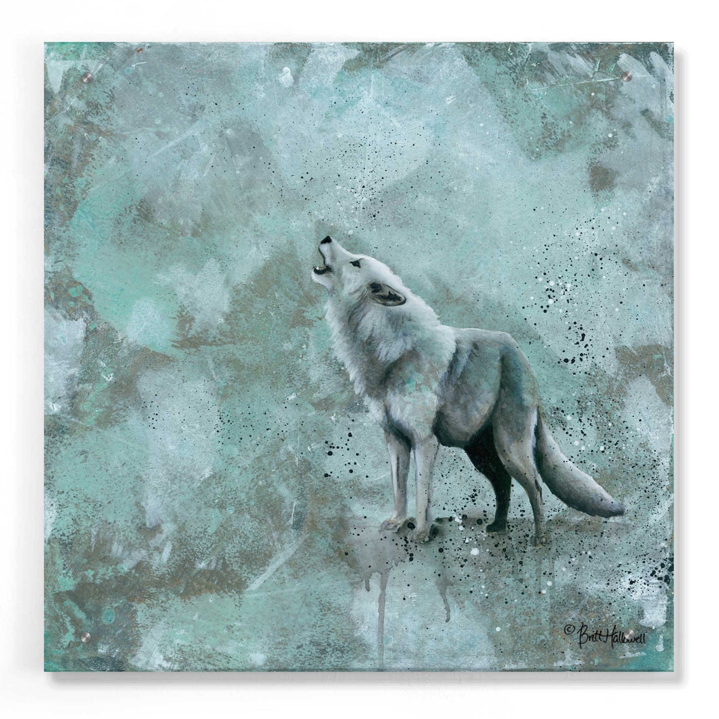 Epic Art 'Simplicity Wolf' by Britt Hallowell, Acrylic Glass Wall Art,24x24