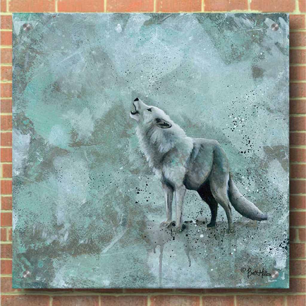Epic Art 'Simplicity Wolf' by Britt Hallowell, Acrylic Glass Wall Art,36x36