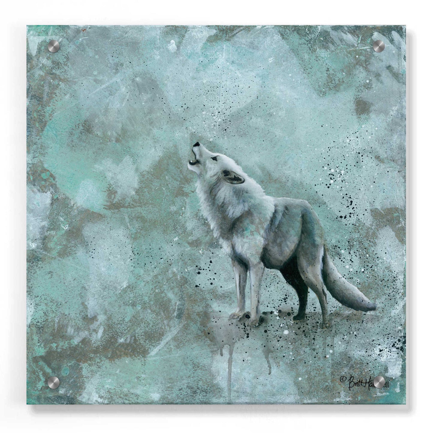 Epic Art 'Simplicity Wolf' by Britt Hallowell, Acrylic Glass Wall Art,36x36