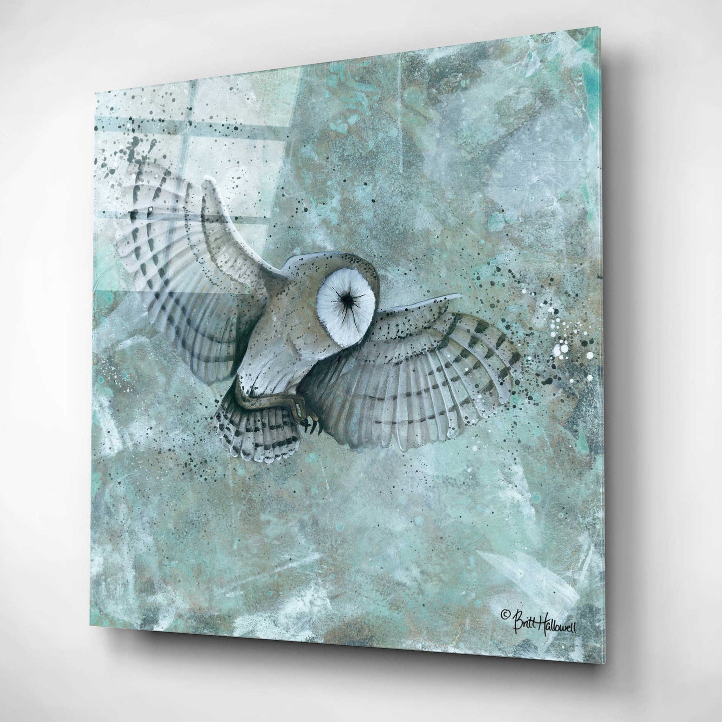 Epic Art 'Simplicity Owl' by Britt Hallowell, Acrylic Glass Wall Art,12x12