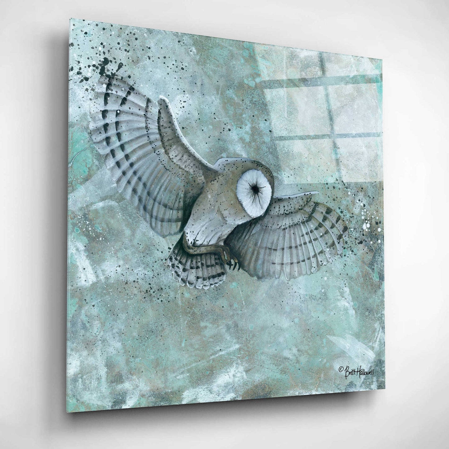 Epic Art 'Simplicity Owl' by Britt Hallowell, Acrylic Glass Wall Art,12x12