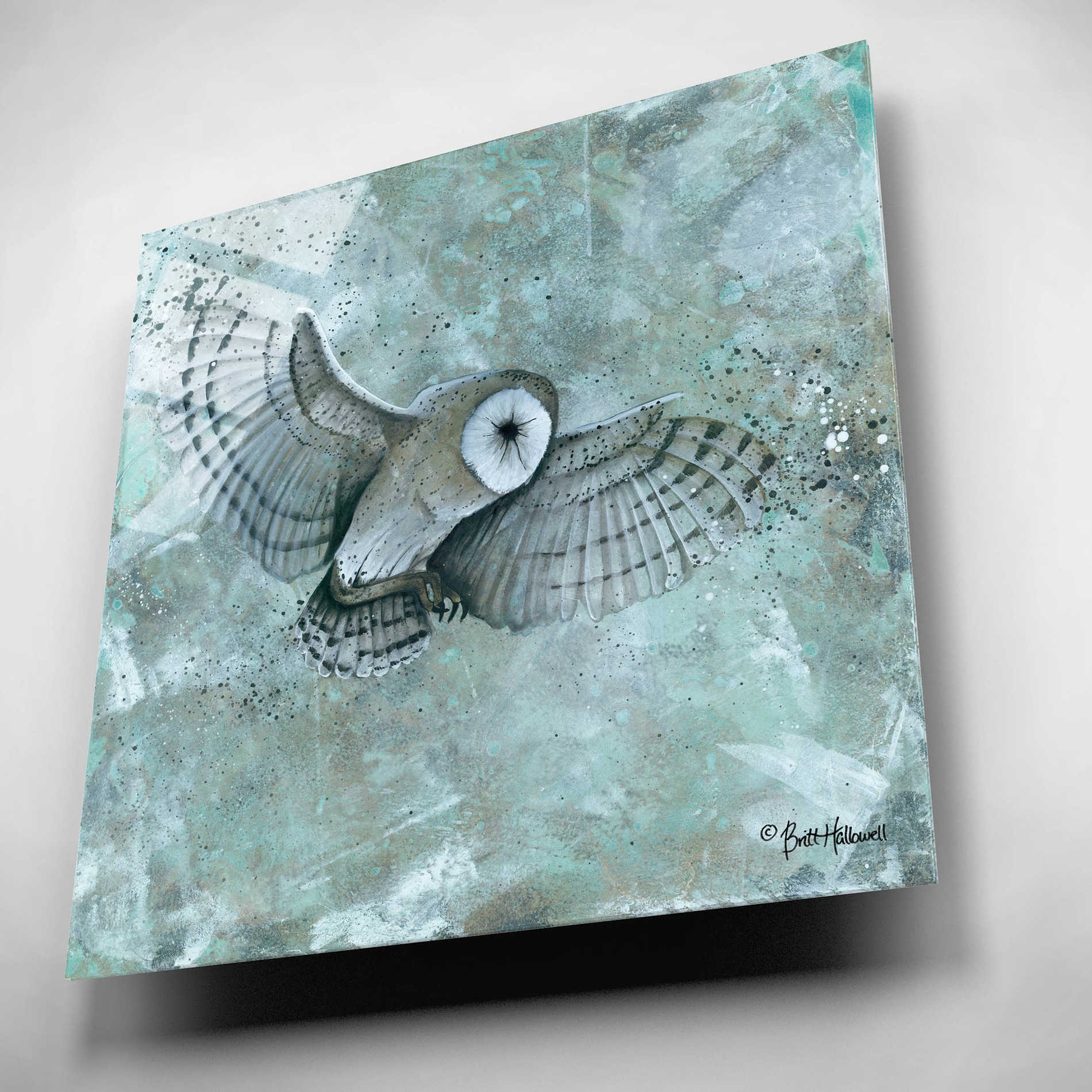 Epic Art 'Simplicity Owl' by Britt Hallowell, Acrylic Glass Wall Art,12x12