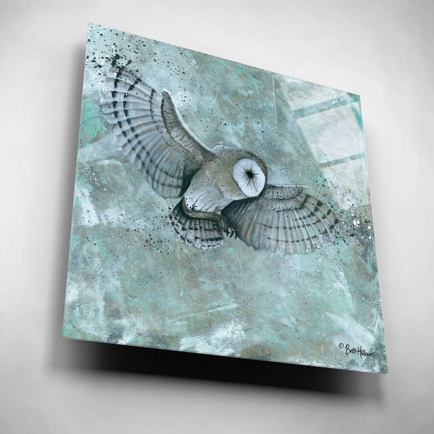 Epic Art 'Simplicity Owl' by Britt Hallowell, Acrylic Glass Wall Art,12x12