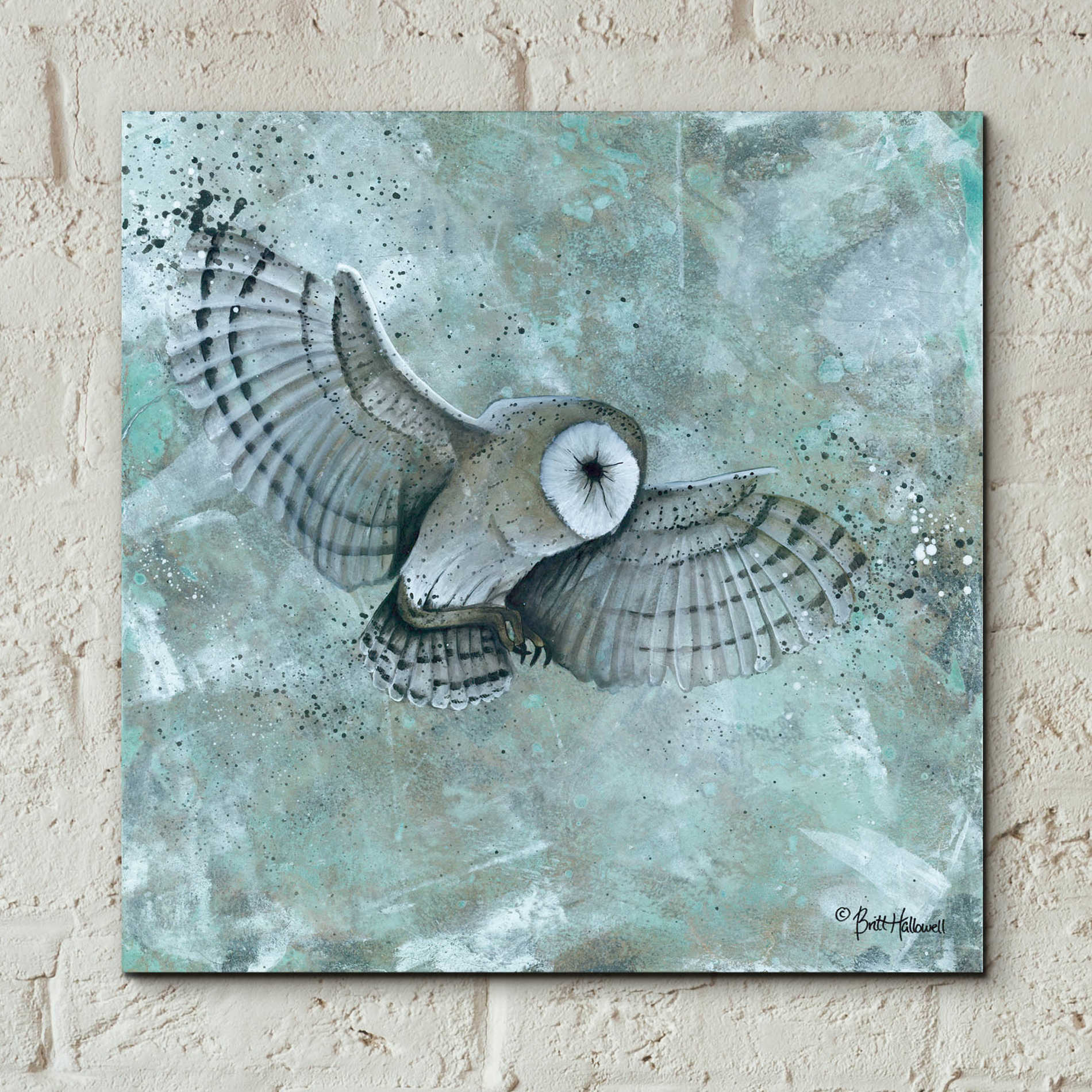 Epic Art 'Simplicity Owl' by Britt Hallowell, Acrylic Glass Wall Art,12x12