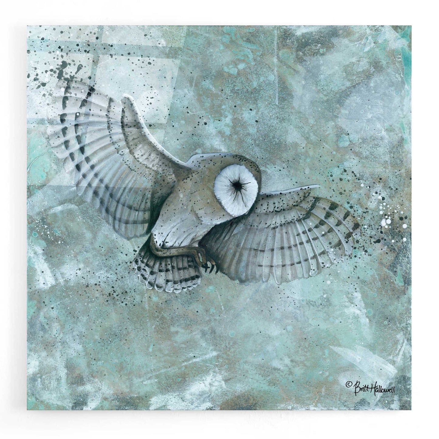 Epic Art 'Simplicity Owl' by Britt Hallowell, Acrylic Glass Wall Art,12x12