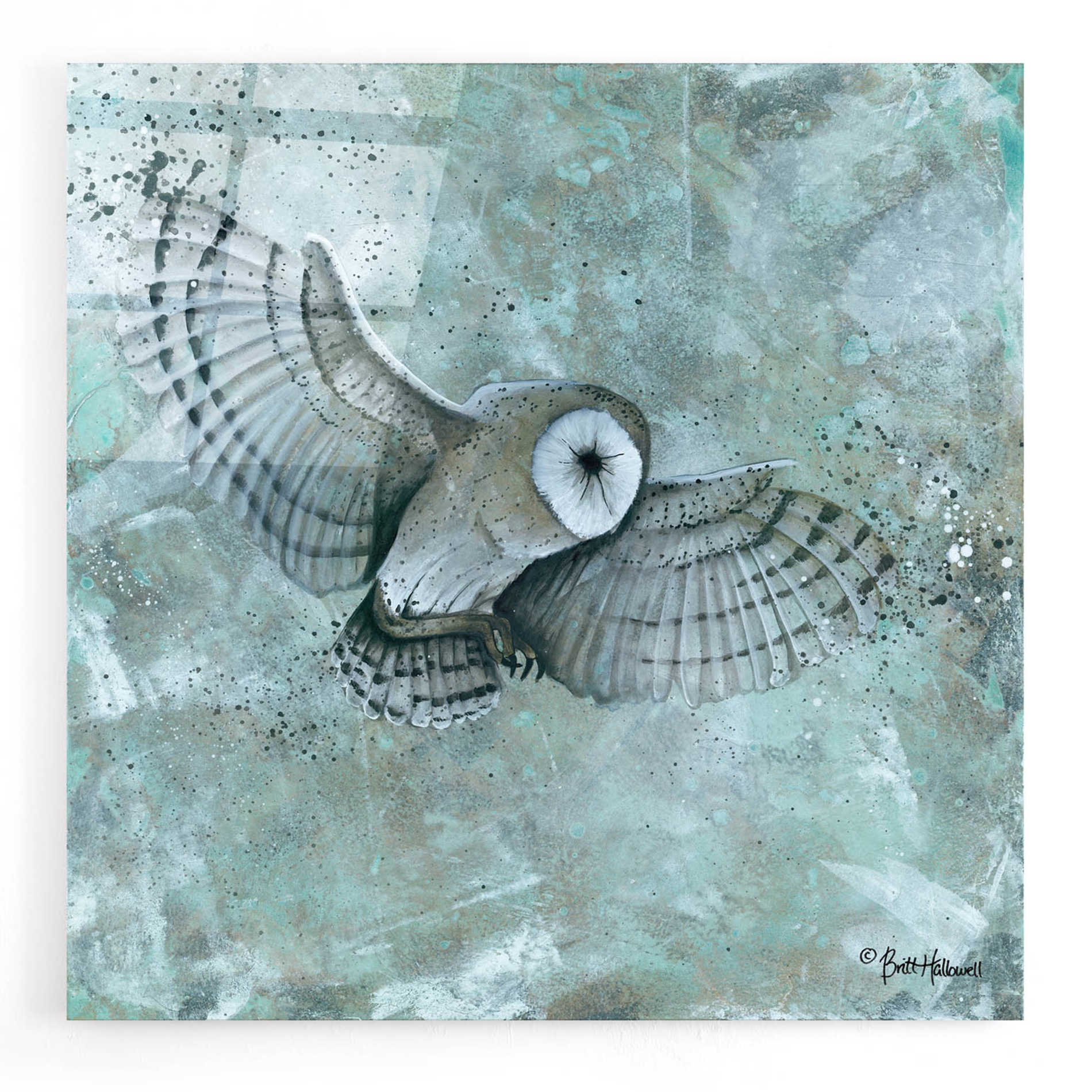 Epic Art 'Simplicity Owl' by Britt Hallowell, Acrylic Glass Wall Art,12x12