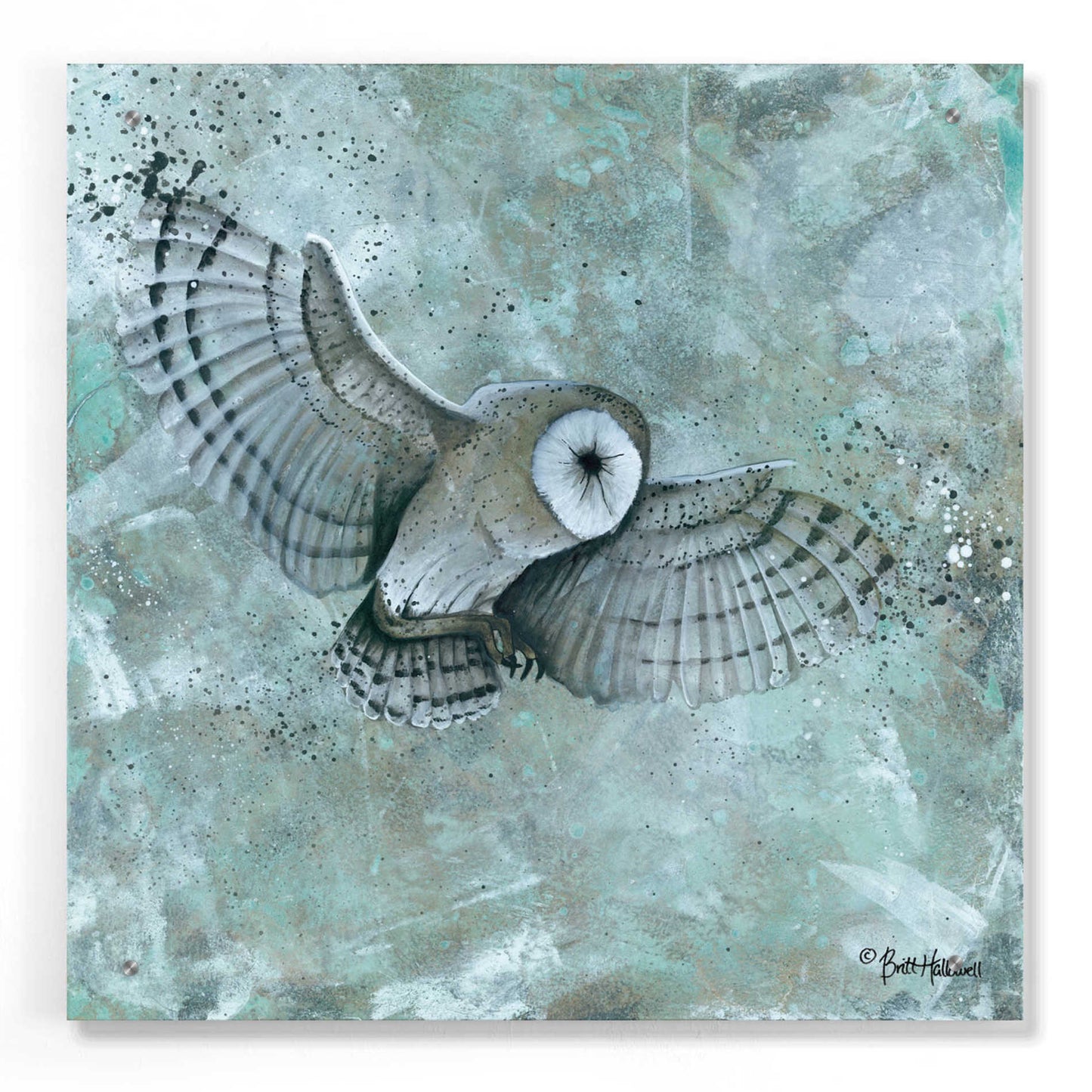 Epic Art 'Simplicity Owl' by Britt Hallowell, Acrylic Glass Wall Art,24x24