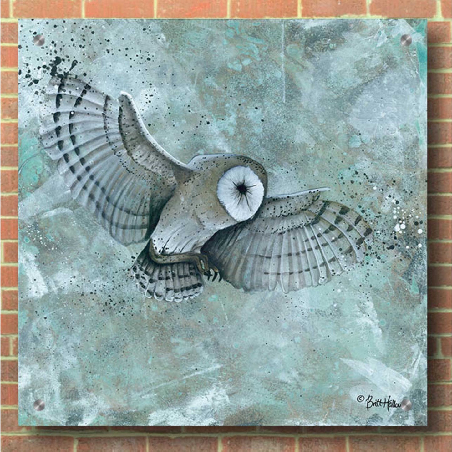 Epic Art 'Simplicity Owl' by Britt Hallowell, Acrylic Glass Wall Art,36x36