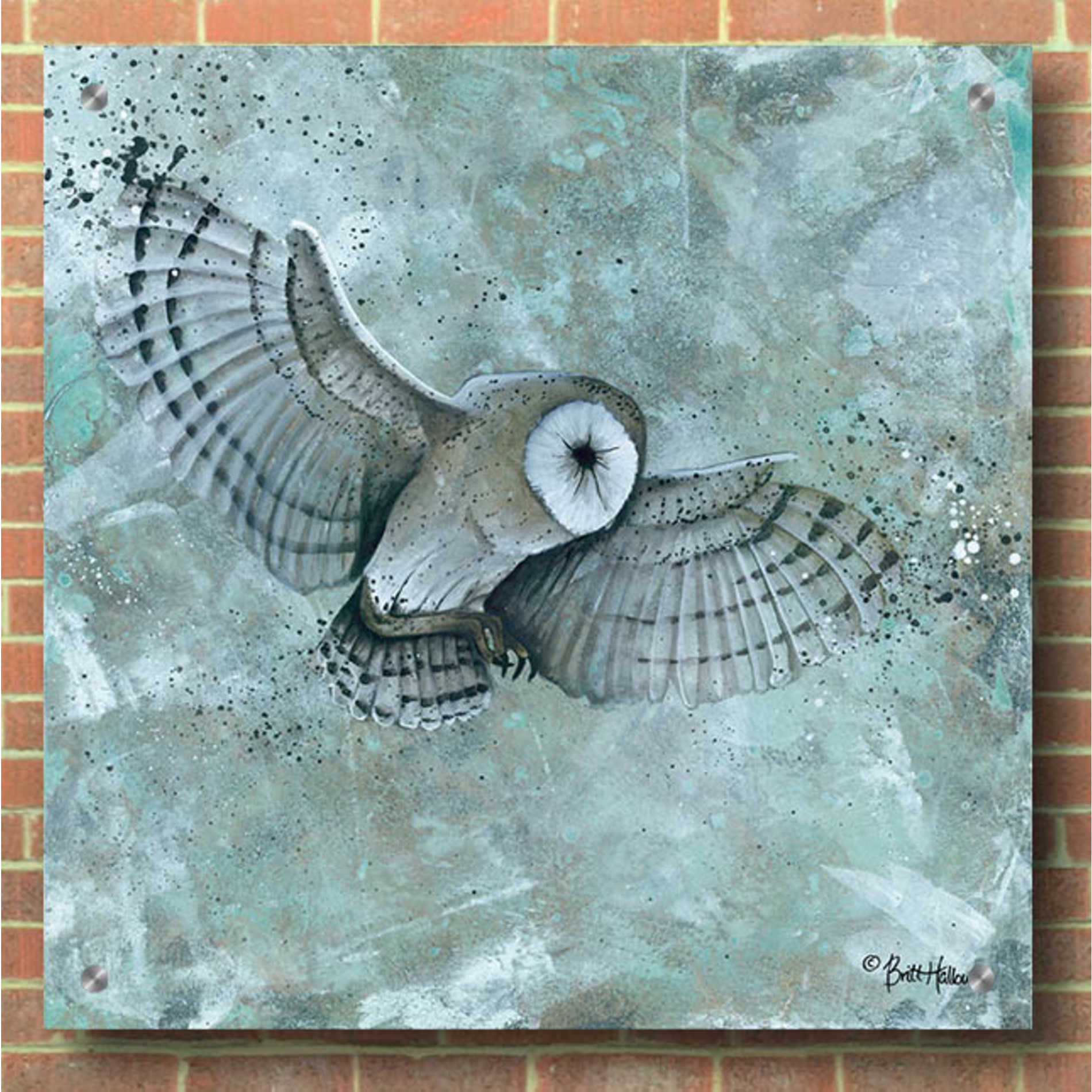 Epic Art 'Simplicity Owl' by Britt Hallowell, Acrylic Glass Wall Art,36x36