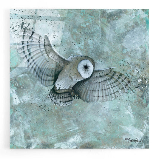 Epic Art 'Simplicity Owl' by Britt Hallowell, Acrylic Glass Wall Art