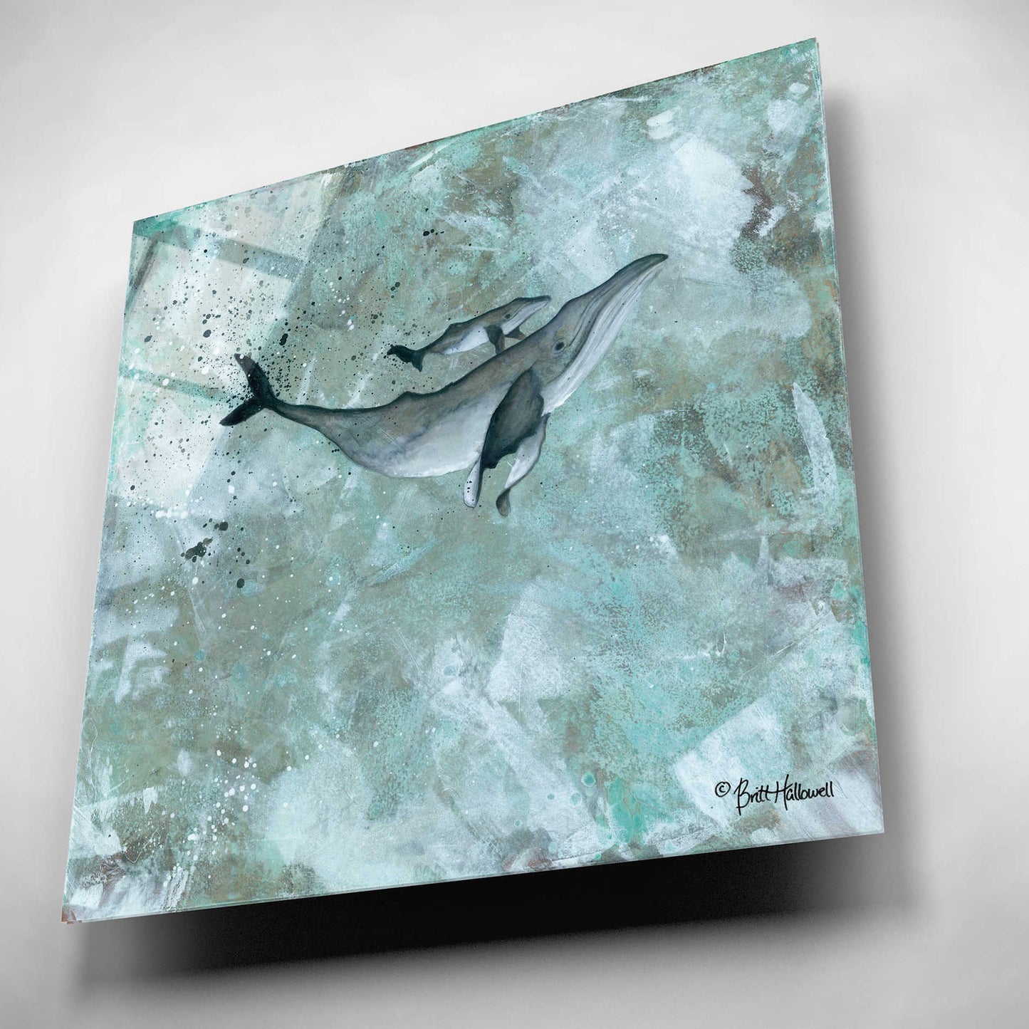 Epic Art 'Simplicity Humpback' by Britt Hallowell, Acrylic Glass Wall Art,12x12