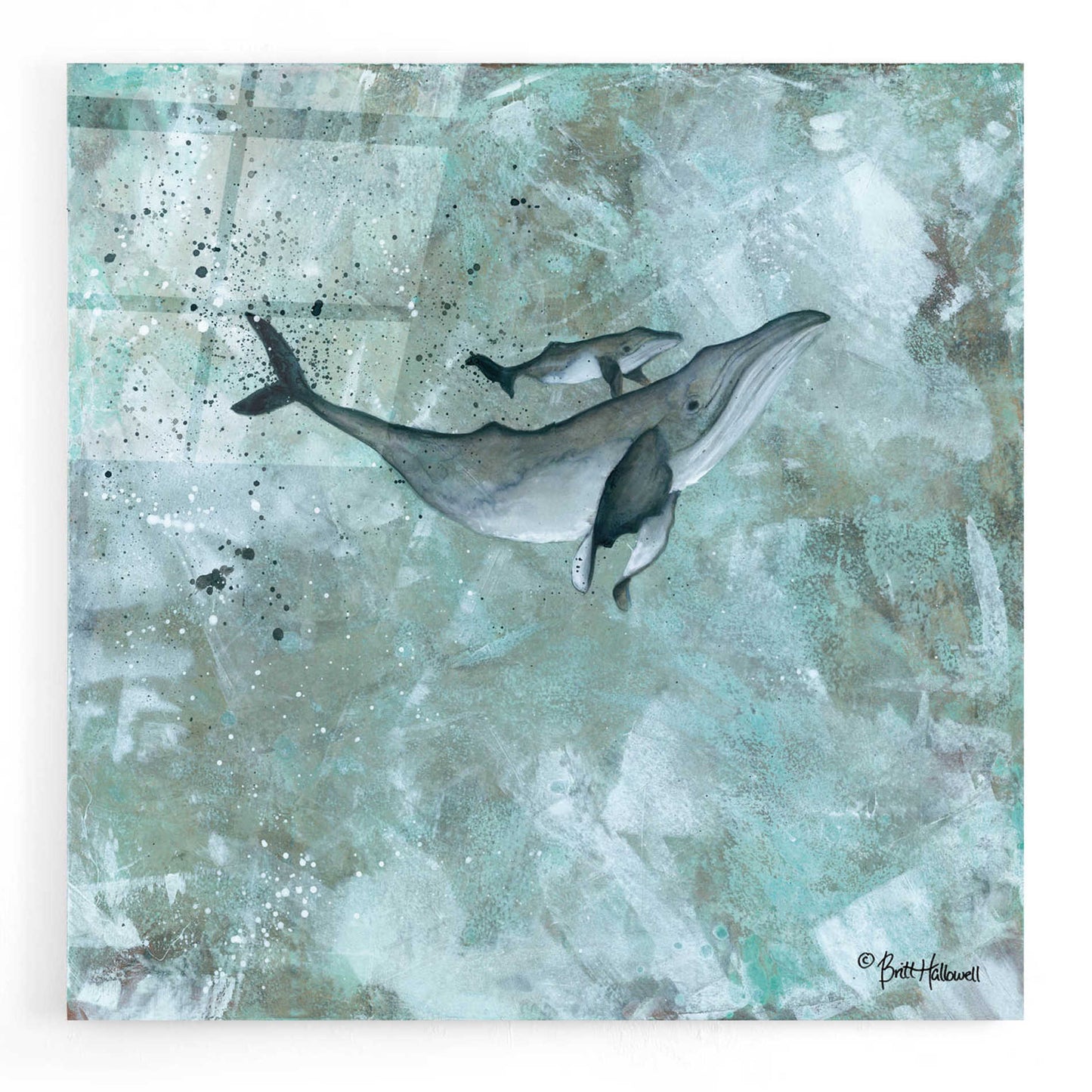 Epic Art 'Simplicity Humpback' by Britt Hallowell, Acrylic Glass Wall Art,12x12