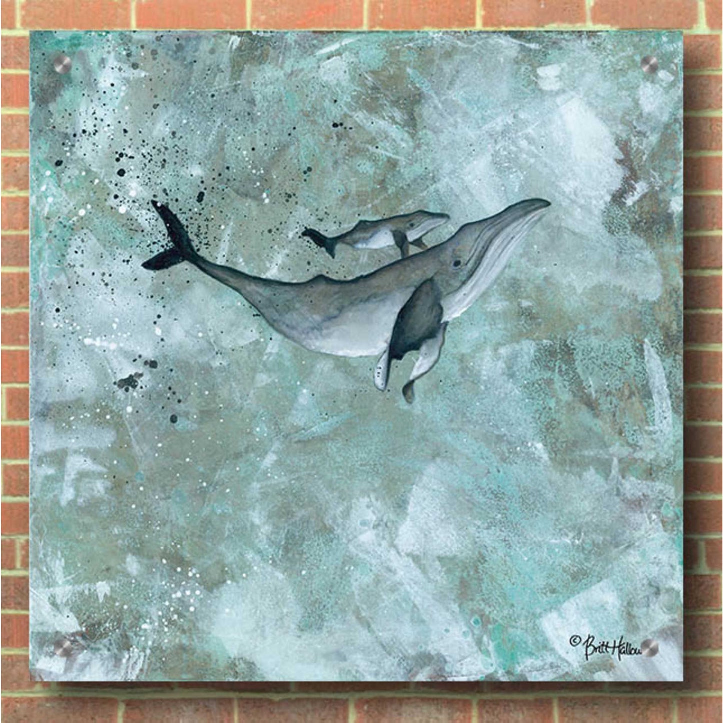 Epic Art 'Simplicity Humpback' by Britt Hallowell, Acrylic Glass Wall Art,36x36