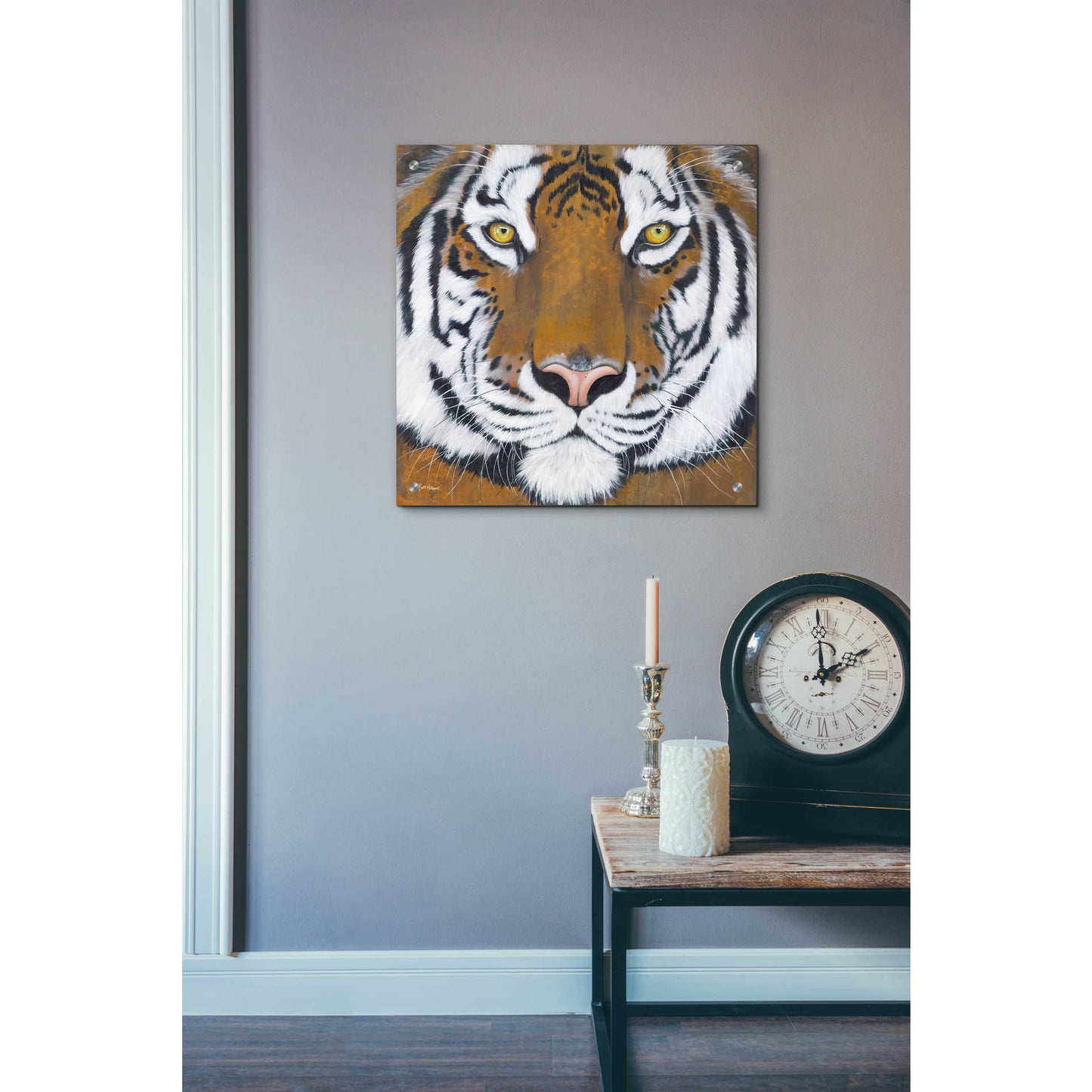 Epic Art 'Tiger Gaze' by Britt Hallowell, Acrylic Glass Wall Art,24x24