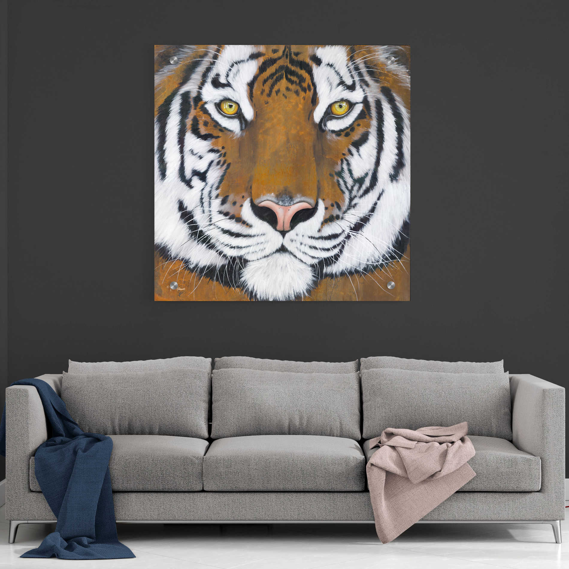 Epic Art 'Tiger Gaze' by Britt Hallowell, Acrylic Glass Wall Art,36x36