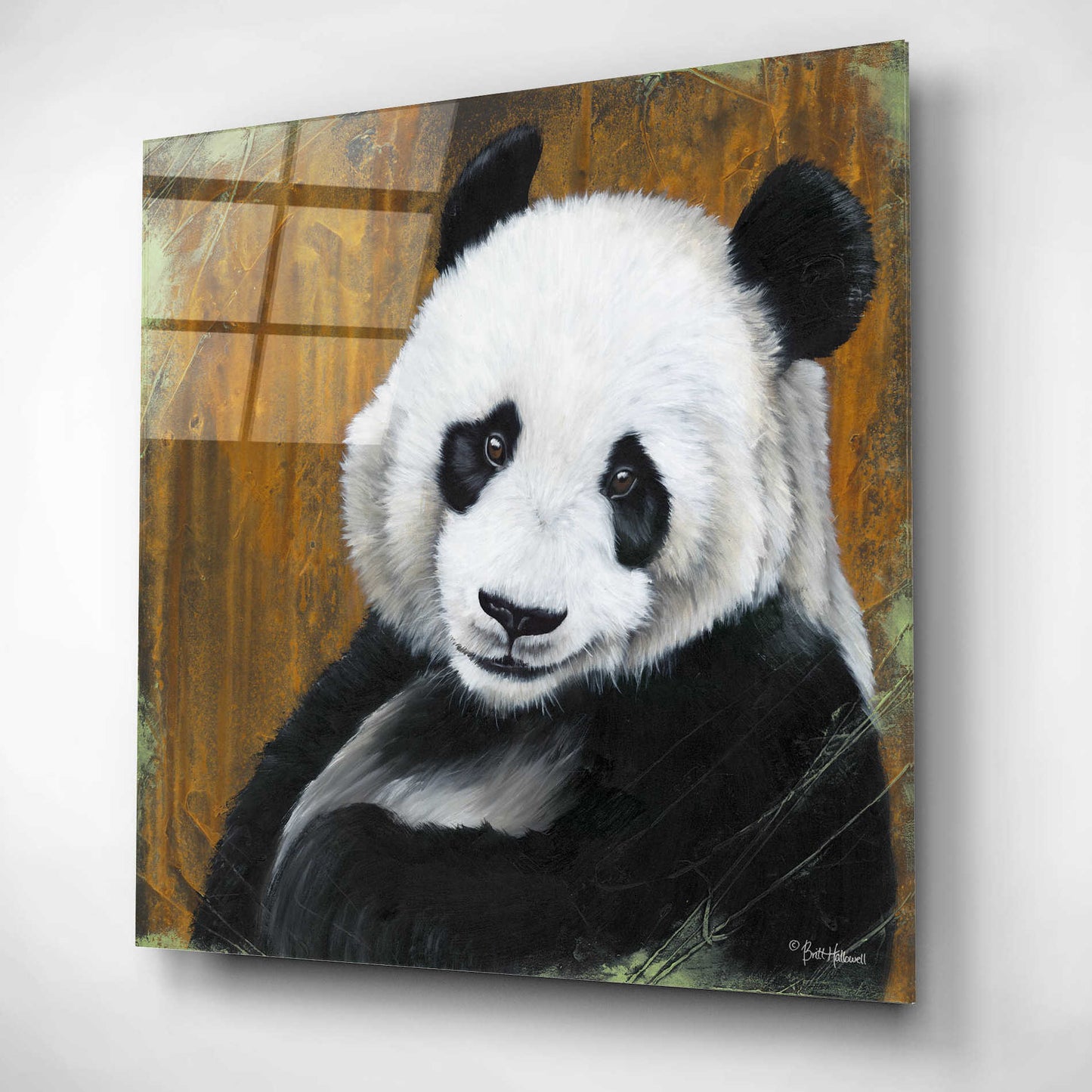 Epic Art 'Panda Smile' by Britt Hallowell, Acrylic Glass Wall Art,12x12