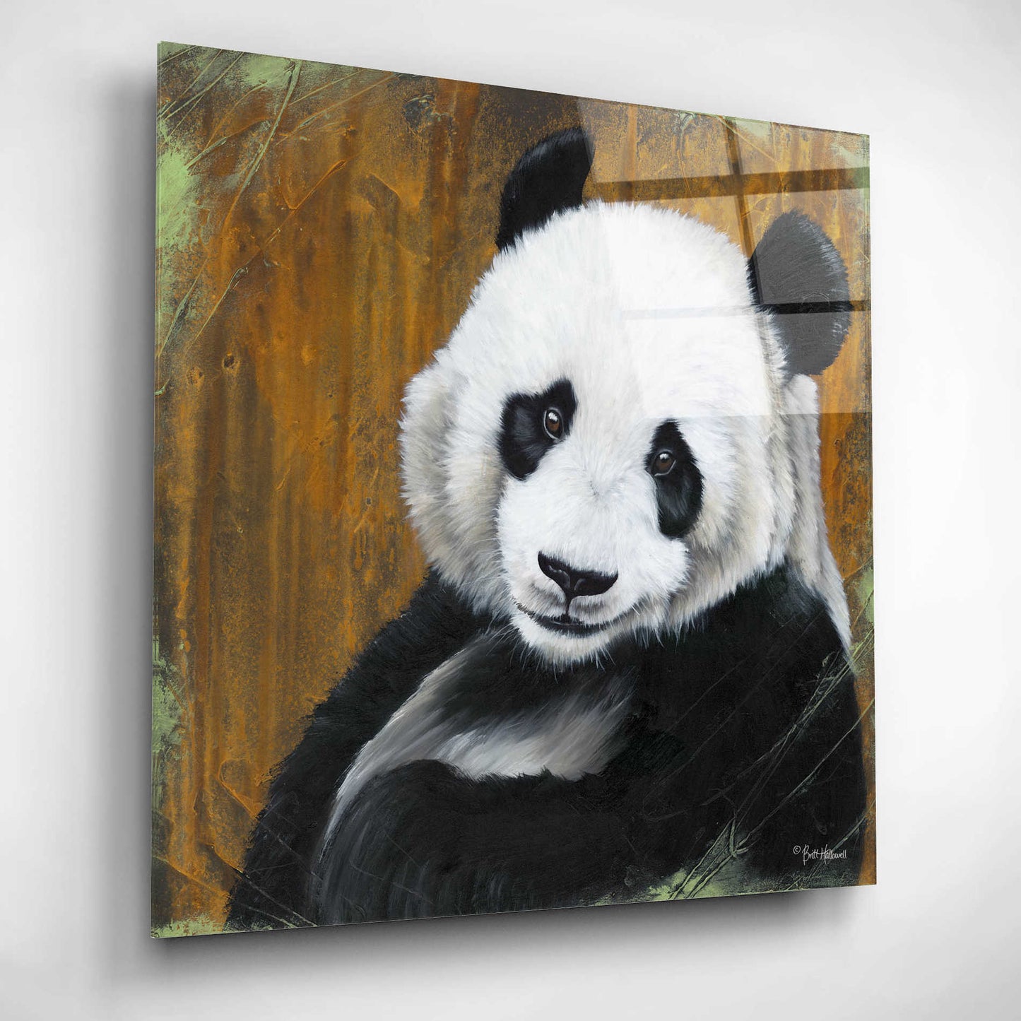 Epic Art 'Panda Smile' by Britt Hallowell, Acrylic Glass Wall Art,12x12