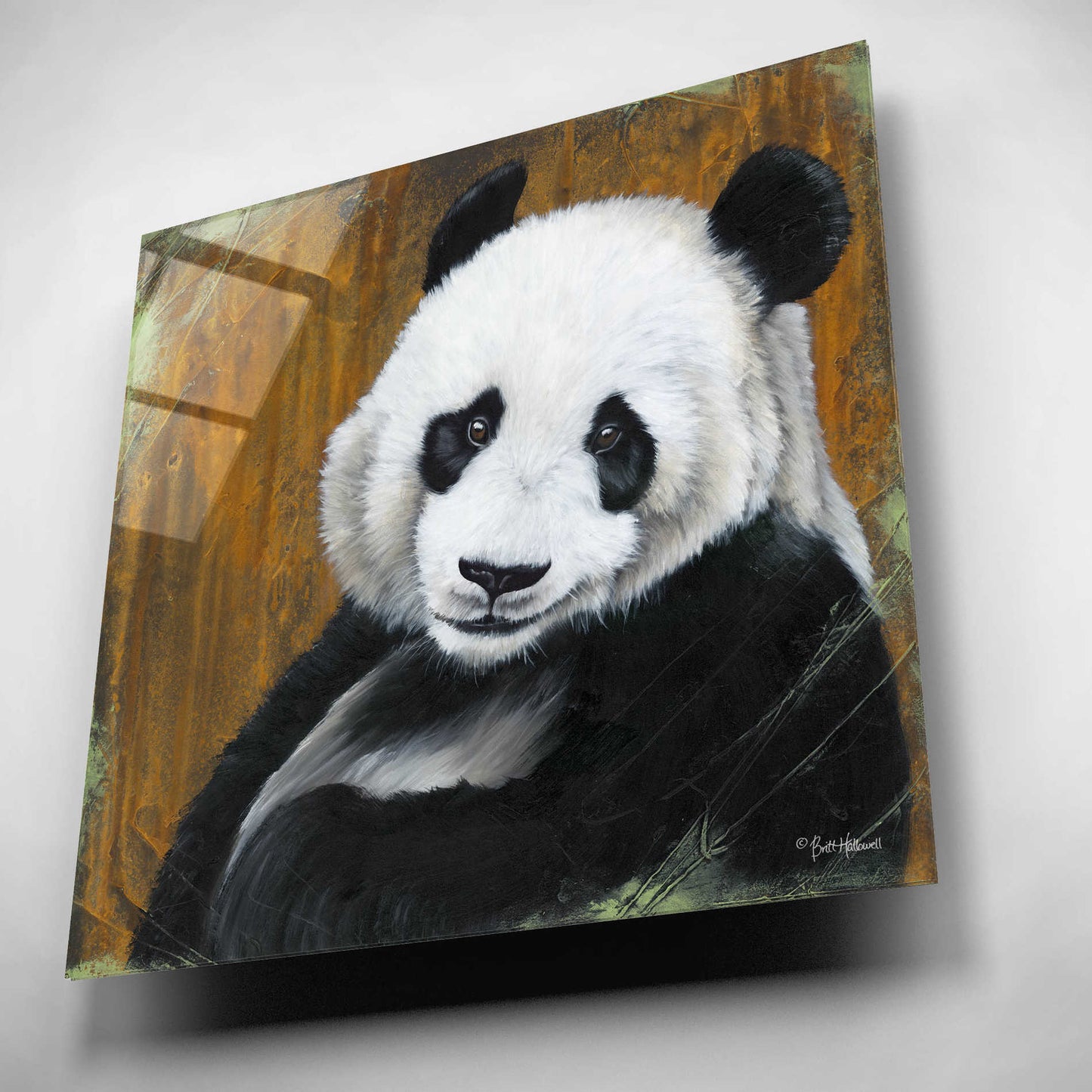 Epic Art 'Panda Smile' by Britt Hallowell, Acrylic Glass Wall Art,12x12