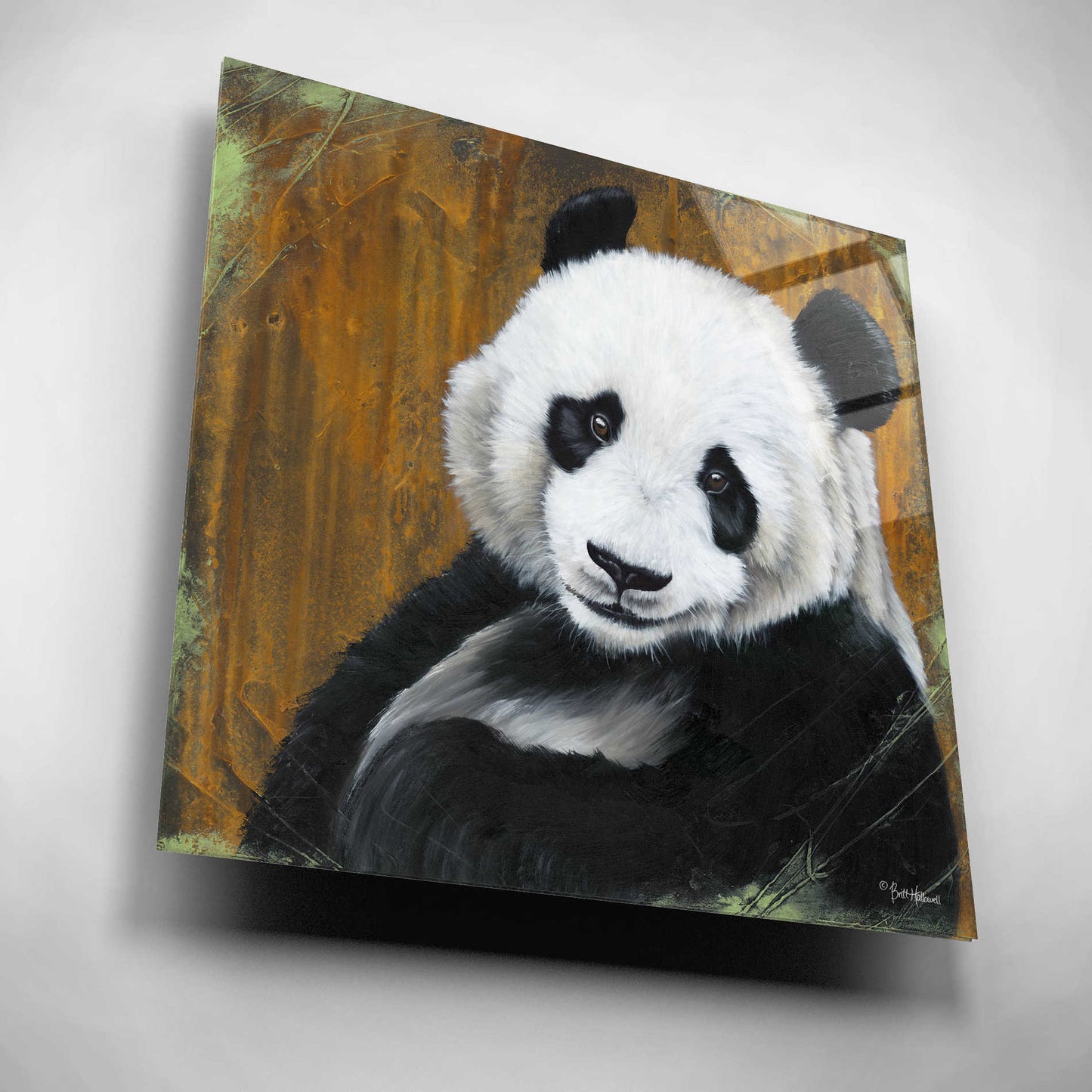 Epic Art 'Panda Smile' by Britt Hallowell, Acrylic Glass Wall Art,12x12