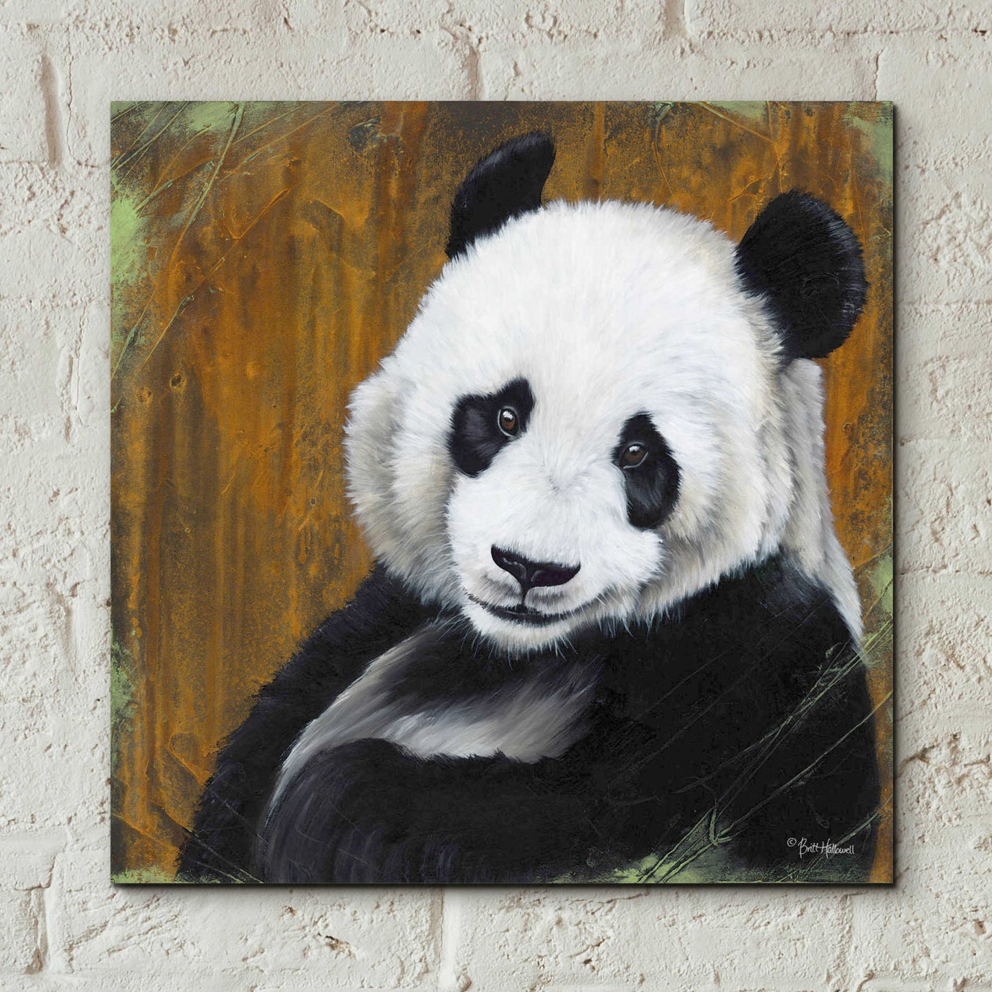 Epic Art 'Panda Smile' by Britt Hallowell, Acrylic Glass Wall Art,12x12