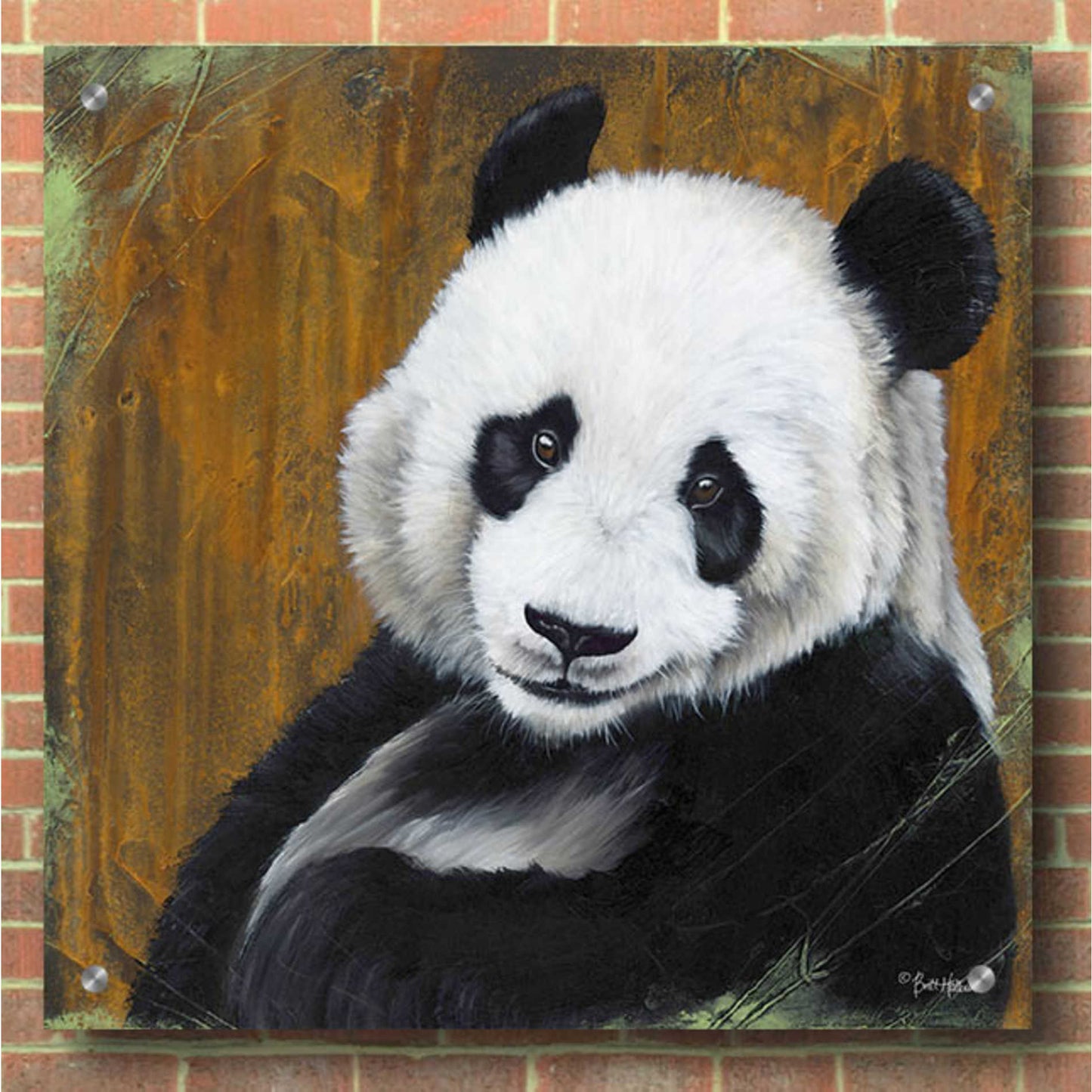 Epic Art 'Panda Smile' by Britt Hallowell, Acrylic Glass Wall Art,36x36