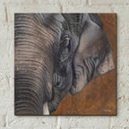 Epic Art 'The Gentlest Giant' by Britt Hallowell, Acrylic Glass Wall Art,12x12