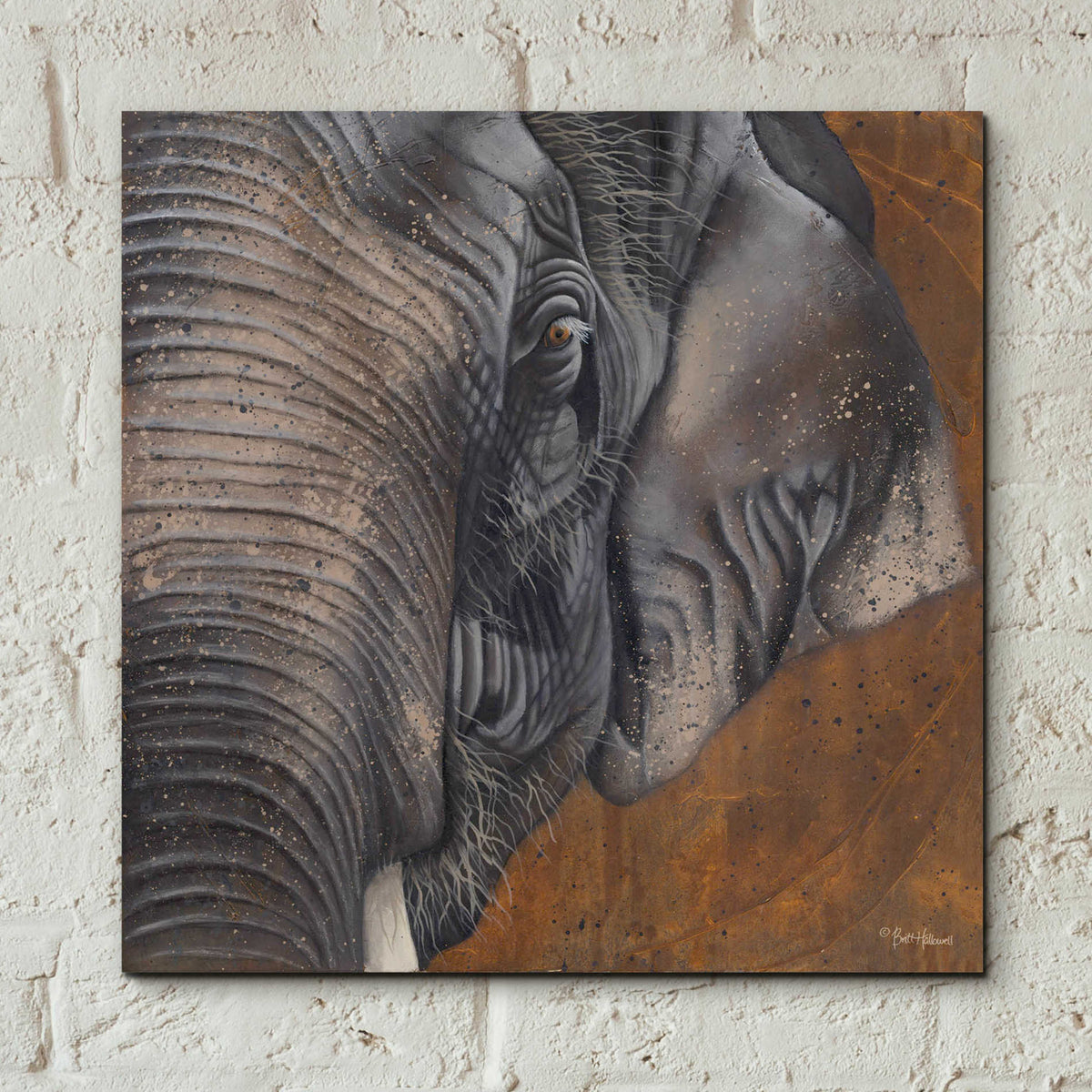 Epic Art 'The Gentlest Giant' by Britt Hallowell, Acrylic Glass Wall Art,12x12