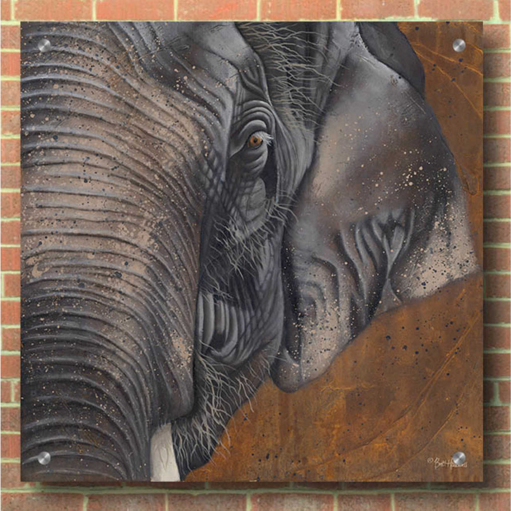 Epic Art 'The Gentlest Giant' by Britt Hallowell, Acrylic Glass Wall Art,36x36