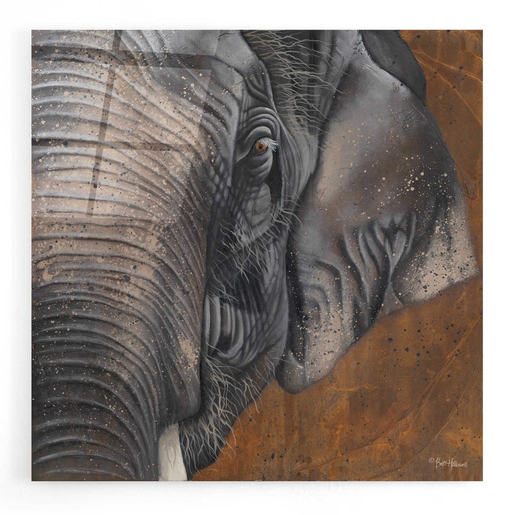 Epic Art 'The Gentlest Giant' by Britt Hallowell, Acrylic Glass Wall Art