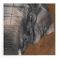 Epic Art 'The Gentlest Giant' by Britt Hallowell, Acrylic Glass Wall Art