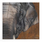 Epic Art 'The Gentlest Giant' by Britt Hallowell, Acrylic Glass Wall Art