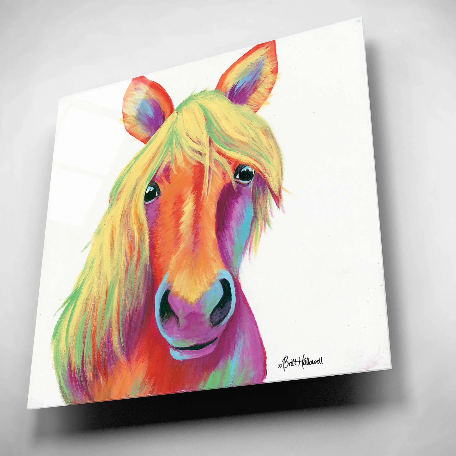 Epic Art 'Cheery Horse' by Britt Hallowell, Acrylic Glass Wall Art,12x12