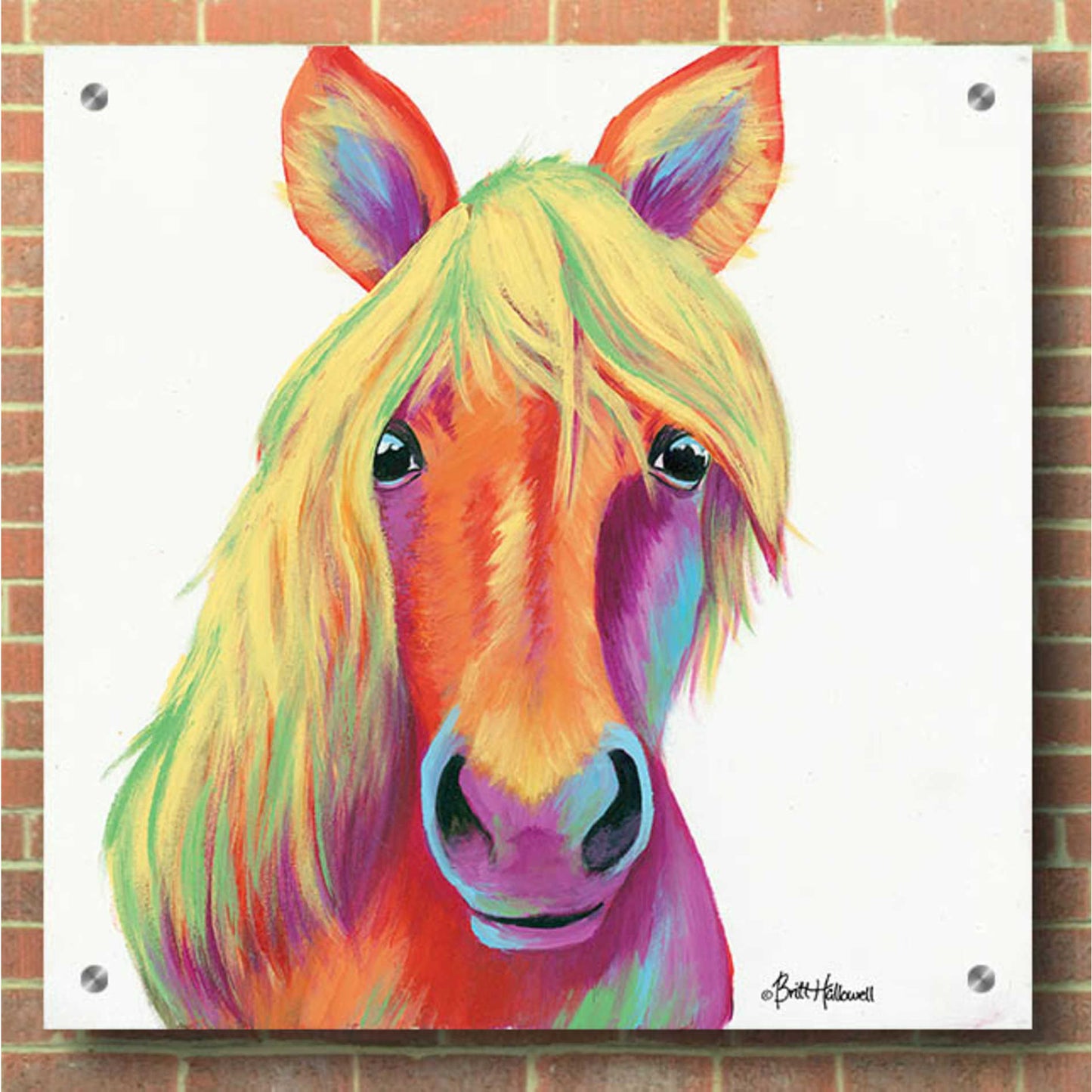 Epic Art 'Cheery Horse' by Britt Hallowell, Acrylic Glass Wall Art,36x36