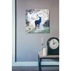 Epic Art 'Wanderer's Spirit' by Britt Hallowell, Acrylic Glass Wall Art,24x24