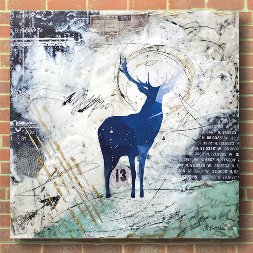 Epic Art 'Wanderer's Spirit' by Britt Hallowell, Acrylic Glass Wall Art,36x36