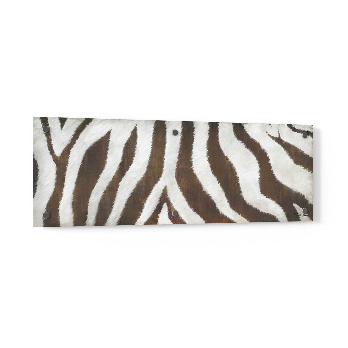 Epic Art 'Different Stripes' by Britt Hallowell, Acrylic Glass Wall Art