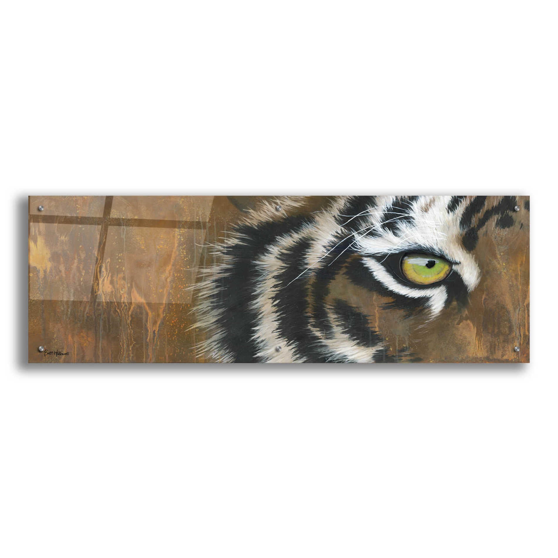 Epic Art 'Searching for the Man Cub' by Britt Hallowell, Acrylic Glass Wall Art,48x16