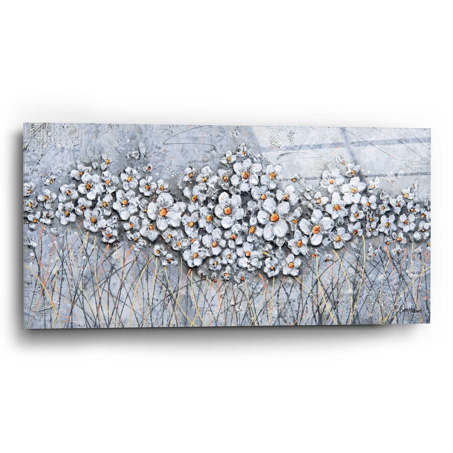 Epic Art 'Fields of Pearls' by Britt Hallowell, Acrylic Glass Wall Art,24x12