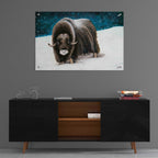 Epic Art 'Dressed for Winter' by Britt Hallowell, Acrylic Glass Wall Art,36x24