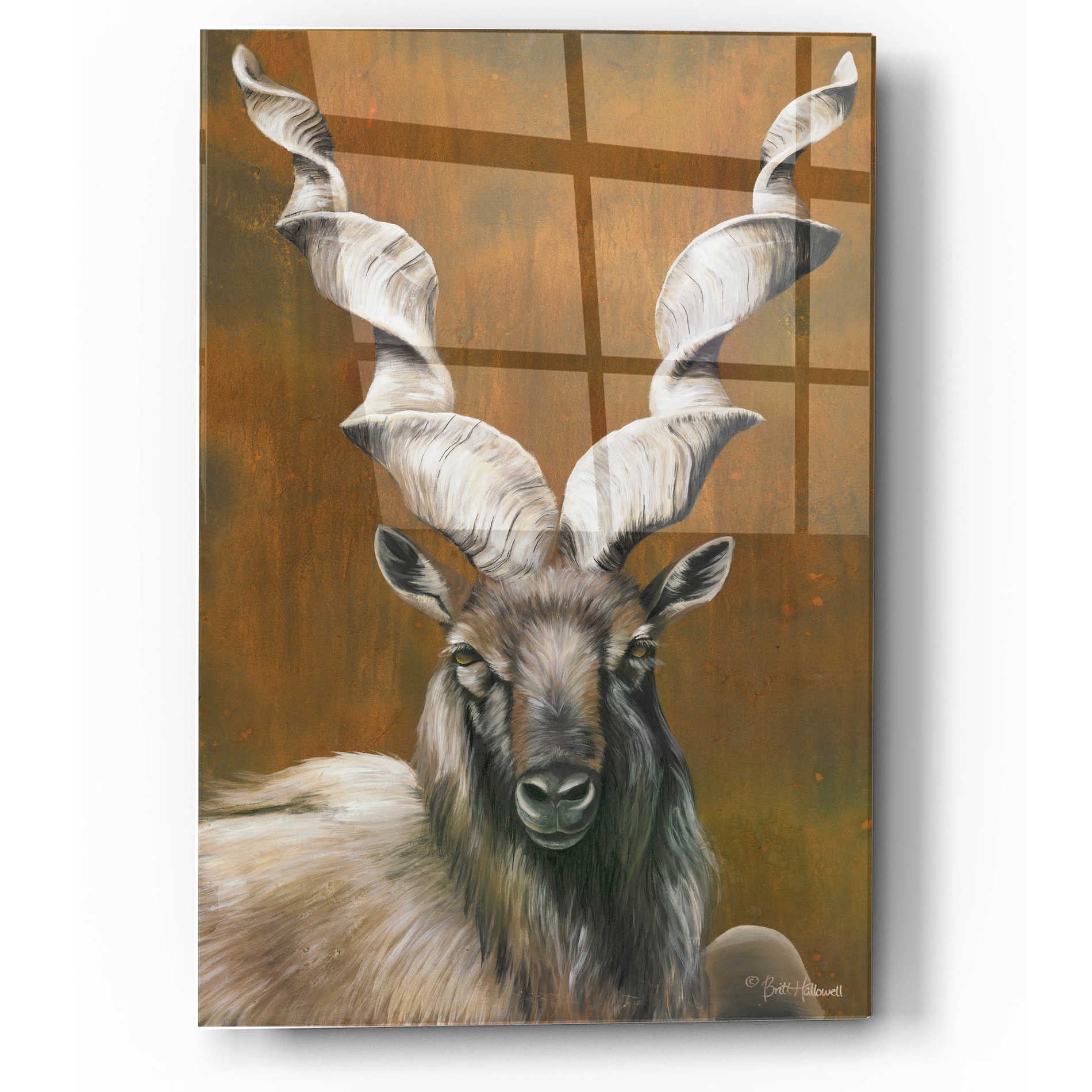 Epic Art 'Mighty Markhor' by Britt Hallowell, Acrylic Glass Wall Art,12x16