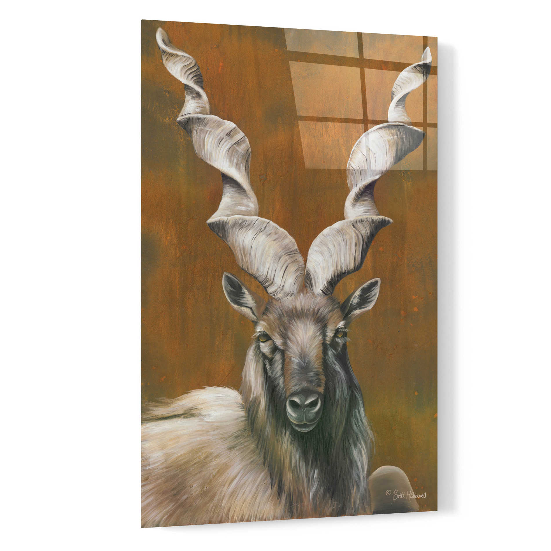 Epic Art 'Mighty Markhor' by Britt Hallowell, Acrylic Glass Wall Art,16x24