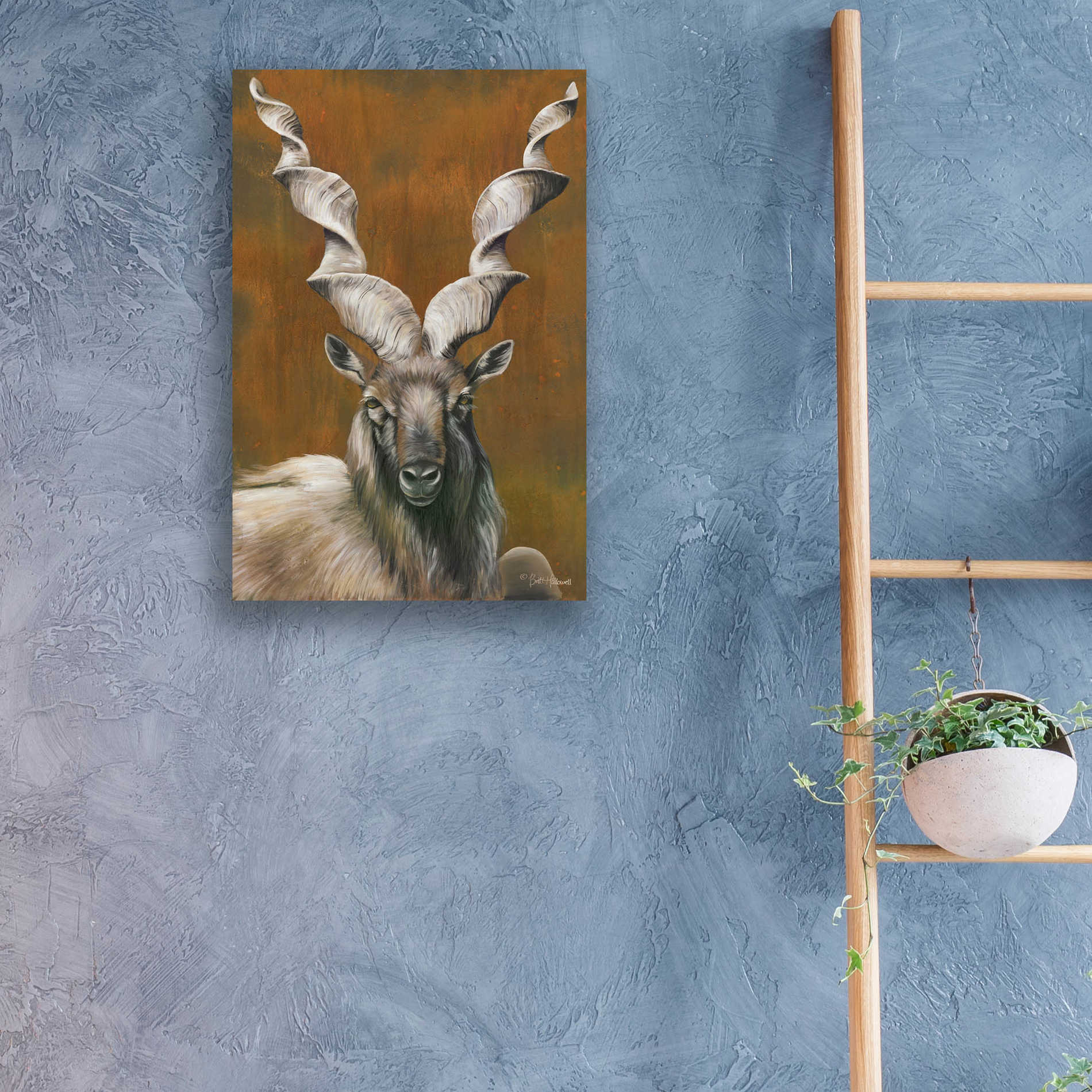 Epic Art 'Mighty Markhor' by Britt Hallowell, Acrylic Glass Wall Art,16x24