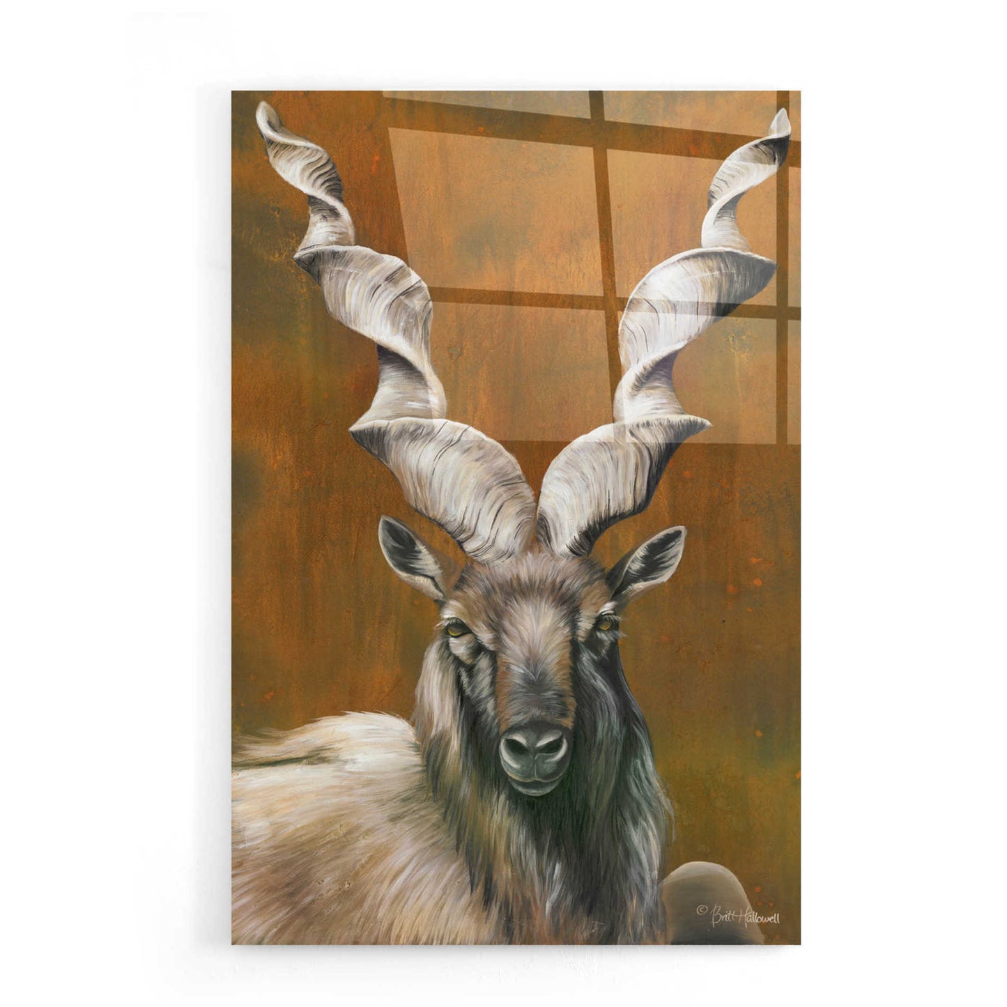 Epic Art 'Mighty Markhor' by Britt Hallowell, Acrylic Glass Wall Art,16x24