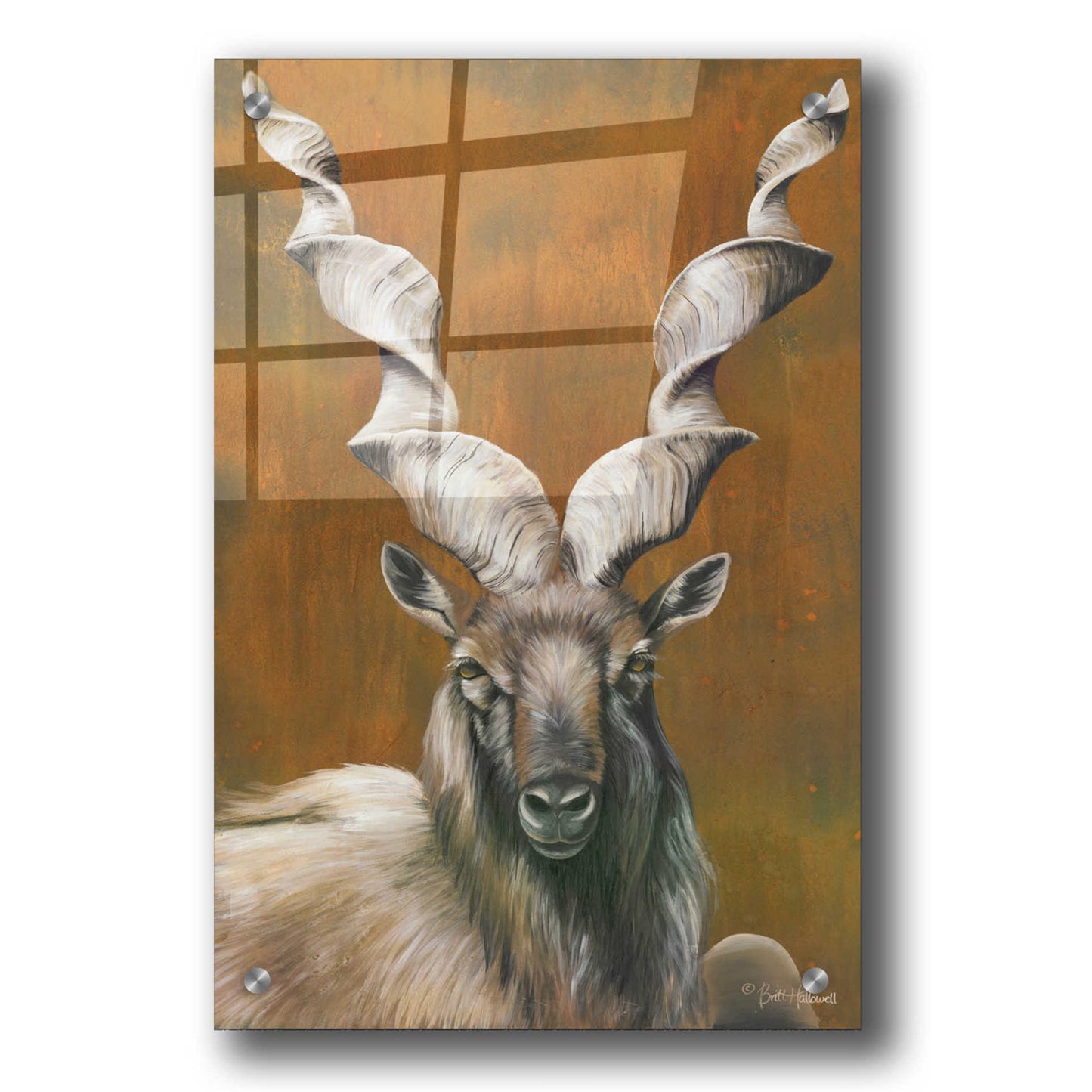 Epic Art 'Mighty Markhor' by Britt Hallowell, Acrylic Glass Wall Art,24x36