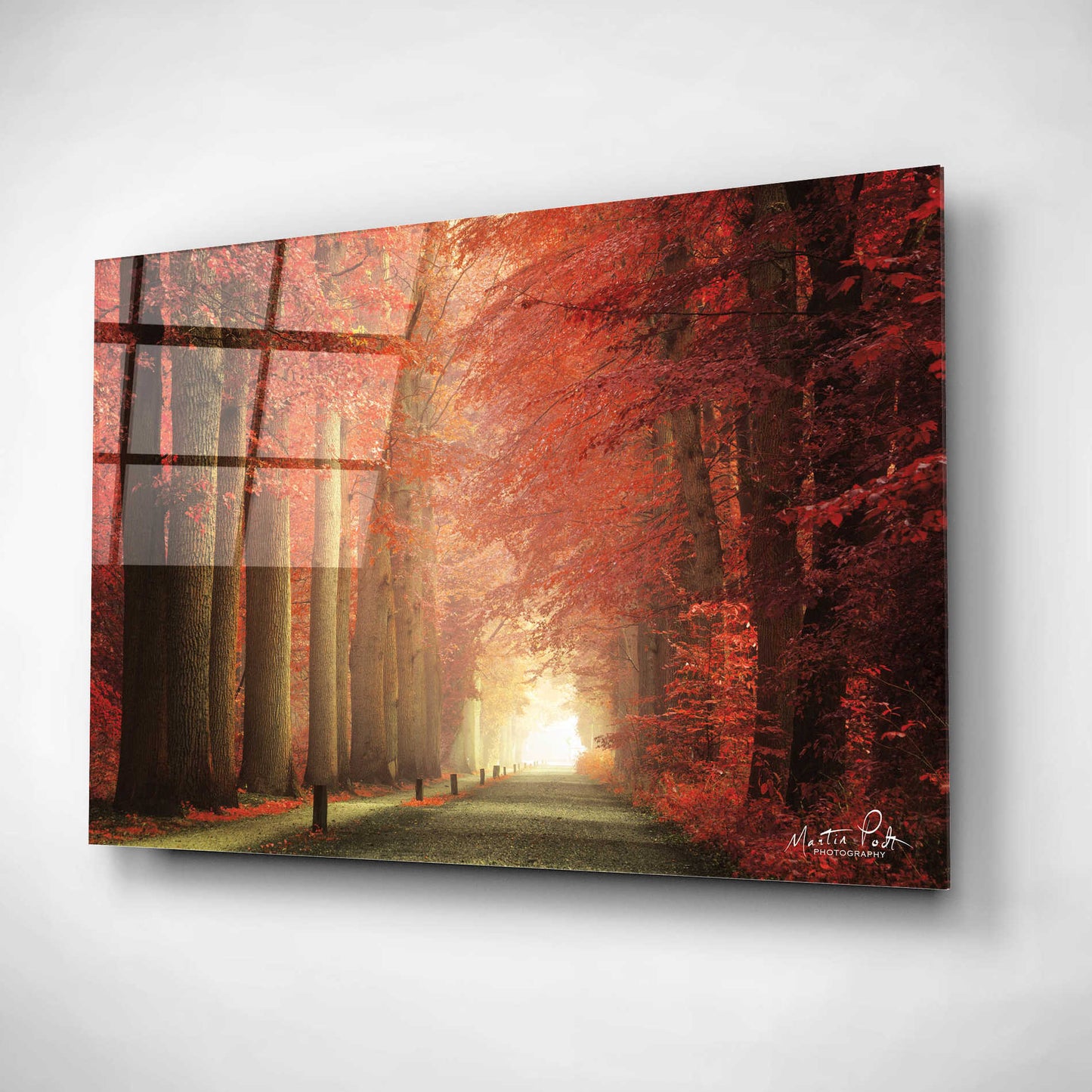 Epic Art 'Way to Red' by Martin Podt, Acrylic Glass Wall Art,16x12