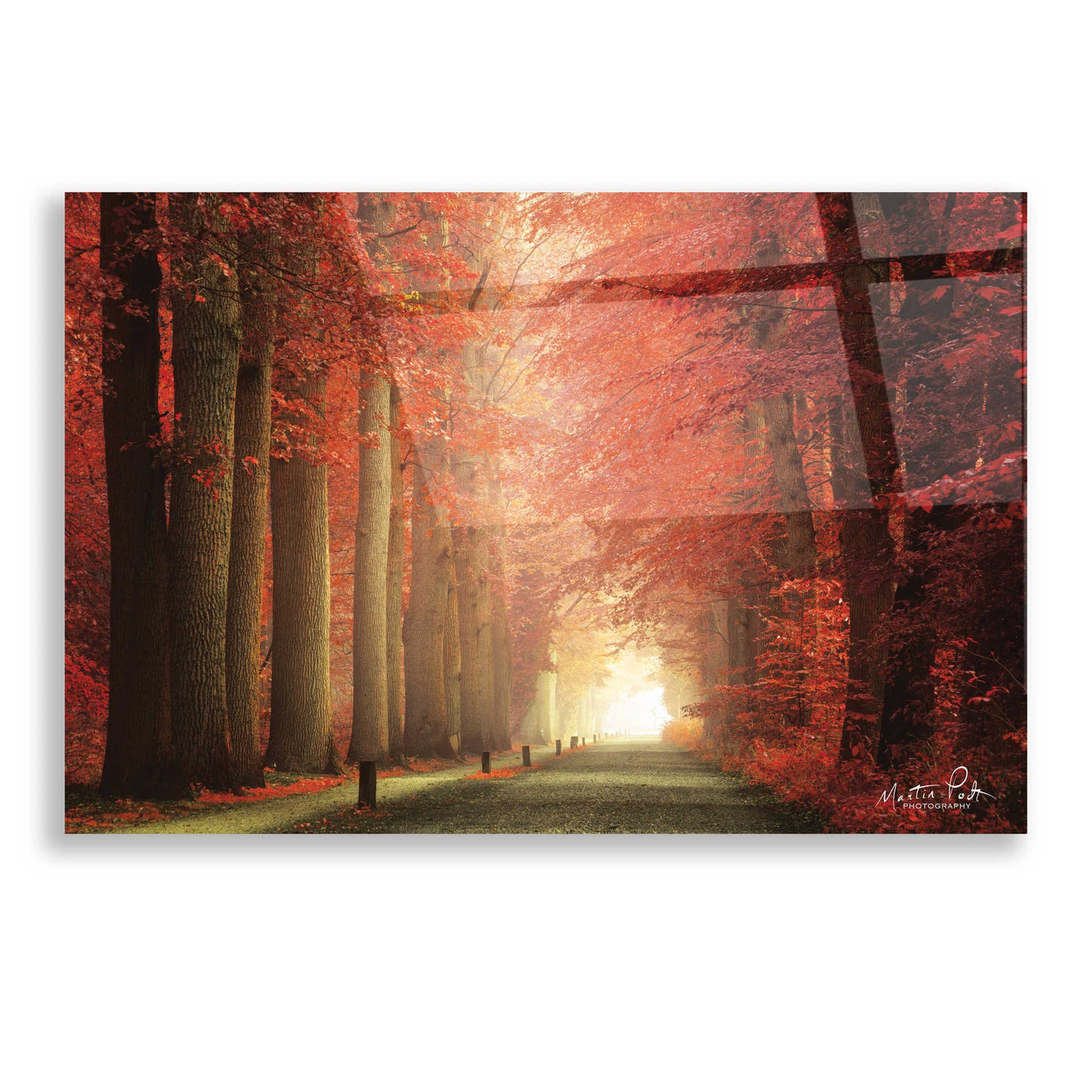 Epic Art 'Way to Red' by Martin Podt, Acrylic Glass Wall Art,16x12